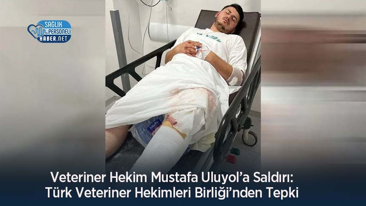 veteriner-hekim-mustafa-uluyol’a-saldiri:-turk-veteriner-hekimleri-birligi’nden-tepki