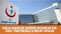 saglik-bakanligi,-sahipsiz-hayvanlar-icin-yerel-yonetimlerle-is-birligi-yapacak