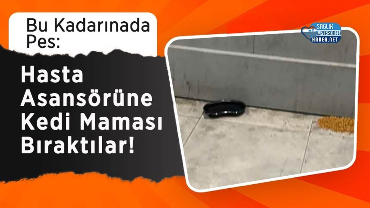 bu-kadarinada-pes:-hasta-asansorune-kedi-mamasi-biraktilar!