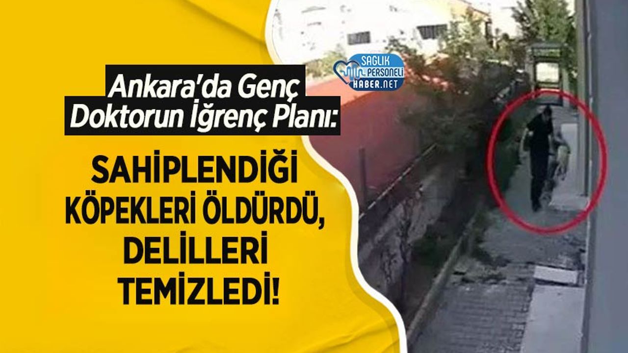 ankara’da-genc-doktorun-igrenc-plani:-sahiplendigi-kopekleri-oldurdu,-delilleri-temizledi!