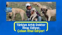 turkiye-artik-doktor-ihrac-ediyor,-coban-ithal-ediyor!