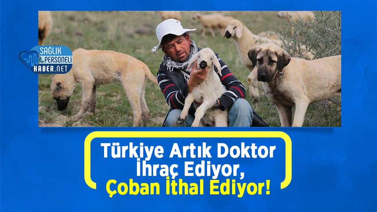 turkiye-artik-doktor-ihrac-ediyor,-coban-ithal-ediyor!
