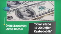 unlu-ekonomist-david-roche:-‘dolar-yuzde-15-20-deger-kaybedebilir’