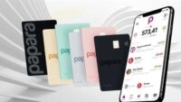 papara’ya-yasa-disi-bahis-operasyonu:-kayyum-atandi